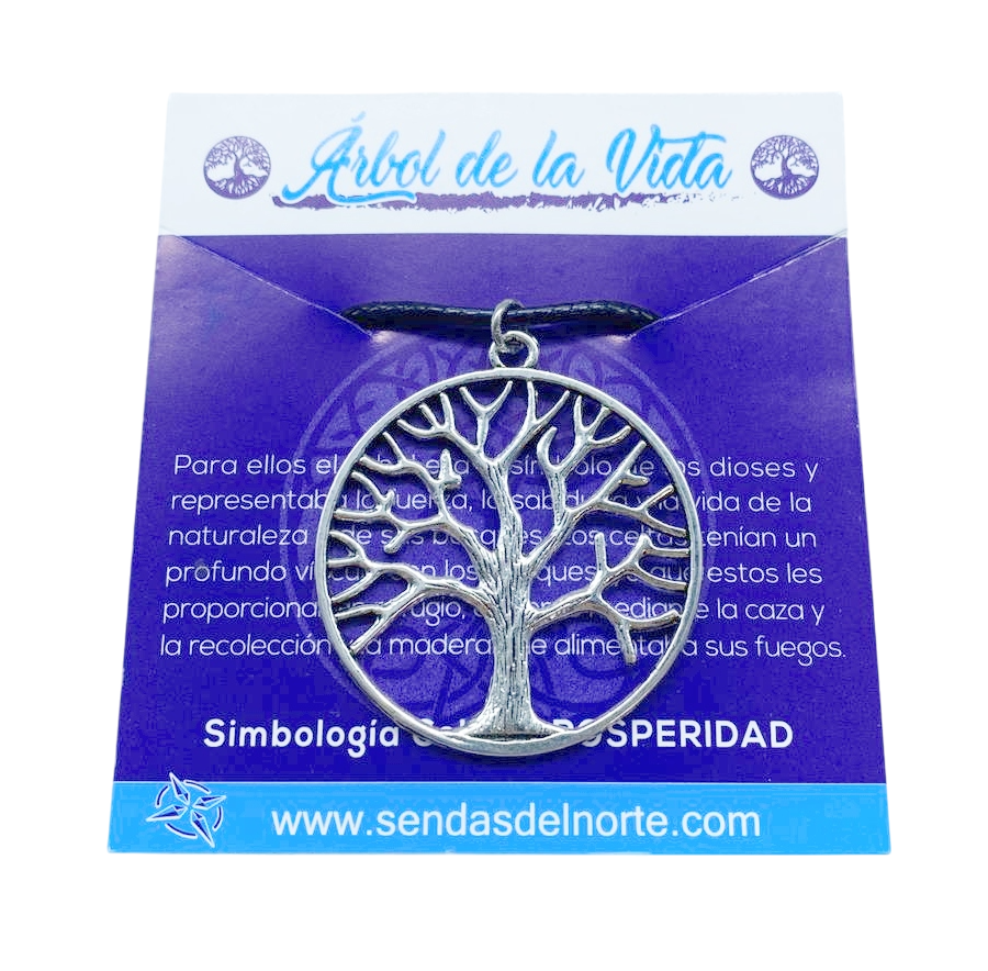 WhatsApp Image 2025-11-20 at 12.58.43-Photoroom