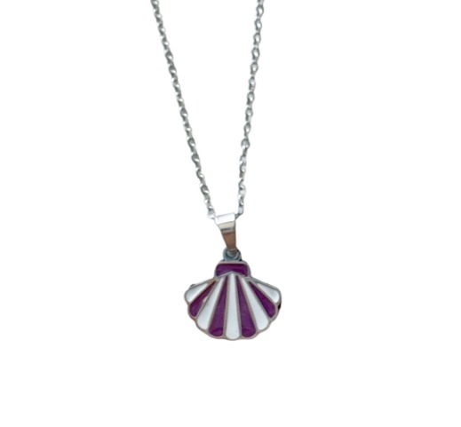 CONCHA MORADA-removebg-preview