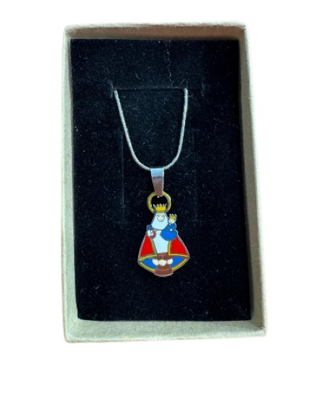 la santina-removebg-preview